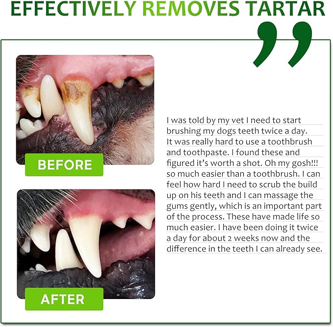 Dental Care Wipes for Dogs and Cats, 50 Count, Teeth and Gum Cleaning, Plaque and Tartar Removal, Larger and Wider Version