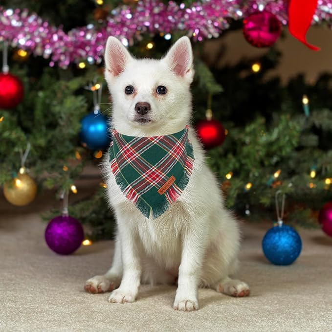 ADOGGYGO Christmas Dog Bandanas with Tassels, Stylish Red Green Plaid Dog Scarf Bib, Multiple Sizes, Pet Christmas Bandanas for Small Dogs Puppies (Small)