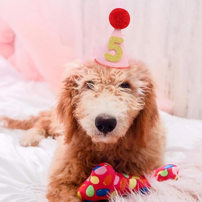 Pet Birthday Hat with Interchangeable Numbers 1-10 | Adjustable Pet Party Cone Hat for Dogs & Cats | Puppy Birthday Photo Props for 1st to 10th Birthday Celebrations (Red Pink Birtgday Pet Hat)