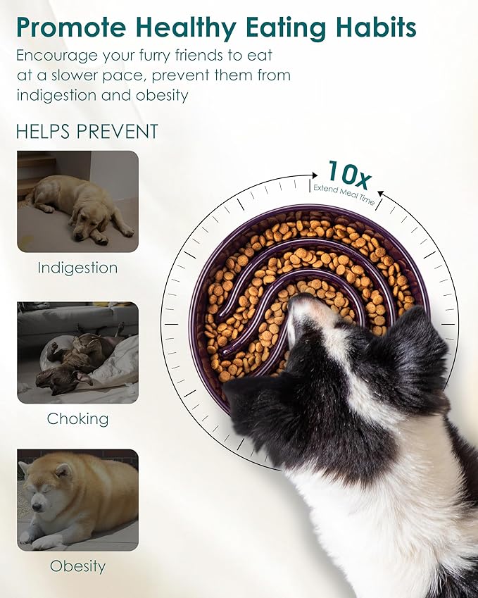 vancasso Slow Feeder Dog Bowl, 3 Cup Ceramic Slow Feeding Food Dish for Large Breed, Puzzle Dog Food Bowl for Fast Eater, Dark Purple