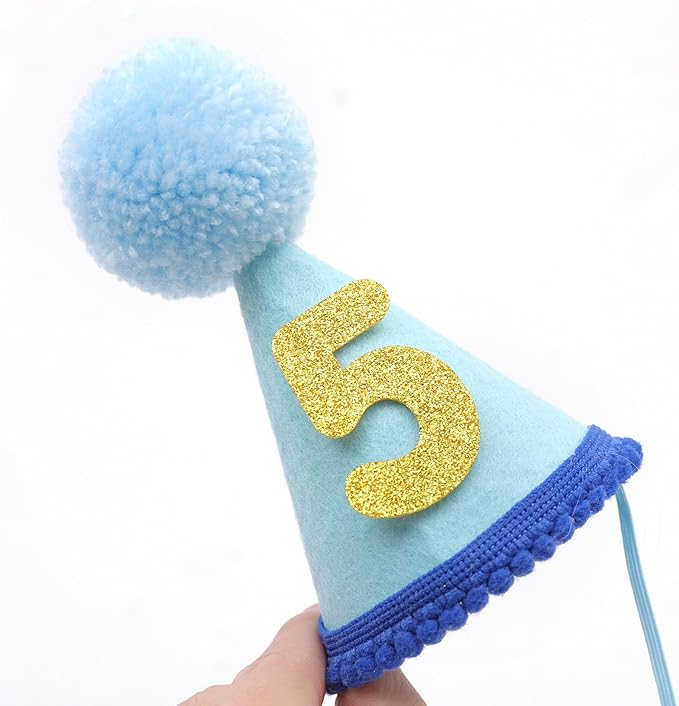 Pet Birthday Hat with Interchangeable Numbers 1-10 | Adjustable Pet Party Cone Hat for Dogs & Cats | Puppy Birthday Photo Props for 1st to 10th Birthday Celebrations (Blue Birthday Pet Hat)