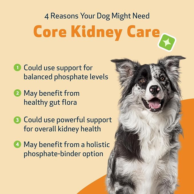 Pet Wellbeing Core Kidney Care for Dogs - Daily Phosphate Binder, Supports Healthy Kidney Function with FOS, Chitosan, Probiotics - Veterinarian-Formulated 5.08 oz (144 g) Powder