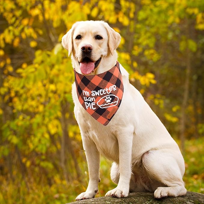 ADOGGYGO Thanksgiving Dog Bandanas, Orange Plaid Pet Scarf, Premium Cotton Fabric, Multiple Sizes Offered, Fall Thanksgiving Bandanas for Large X-Large Dogs Pets (X-Large)