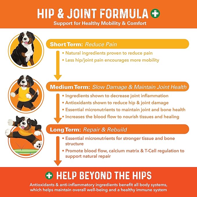 Bernie's Healthy HIPS - Daily Dog Hip & Joint Supplement - 90 Soft Chews - Reduce Pain, Encourage Mobility, Slow Damage, Repair and Rebuild HIPS & Joint Tissues