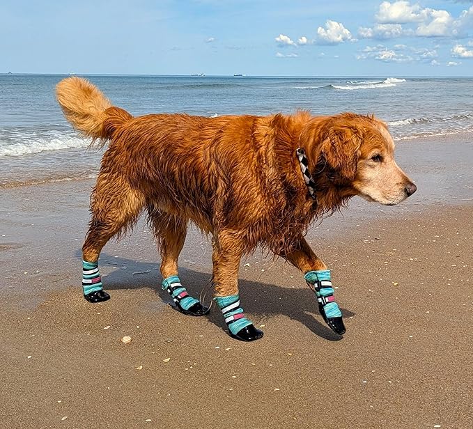 All Weather Neoprene Paw Protector Dog Boots with Reflective Straps in 5 Sizes! (Turquoise Medium)