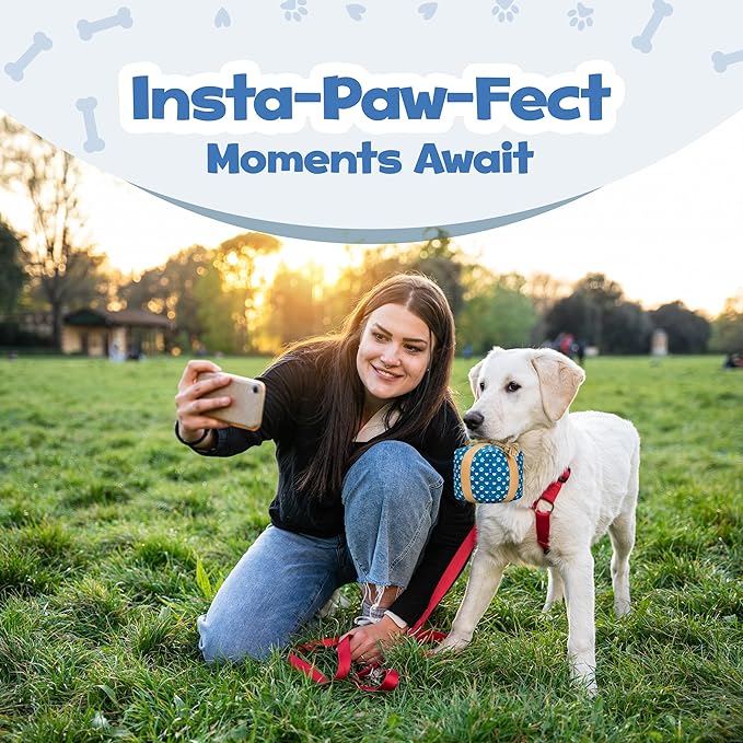 Gift Box Dog Toy – Christmas & Birthday Dog Toy, Interactive Squeaker,Rope, and Crinkles for Cute Puppy Stocking Stuffer