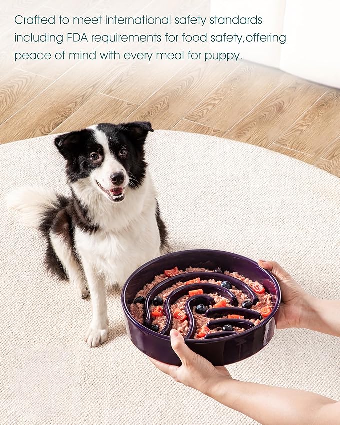 vancasso Slow Feeder Dog Bowl, 3 Cup Ceramic Slow Feeding Food Dish for Large Breed, Puzzle Dog Food Bowl for Fast Eater, Dark Purple