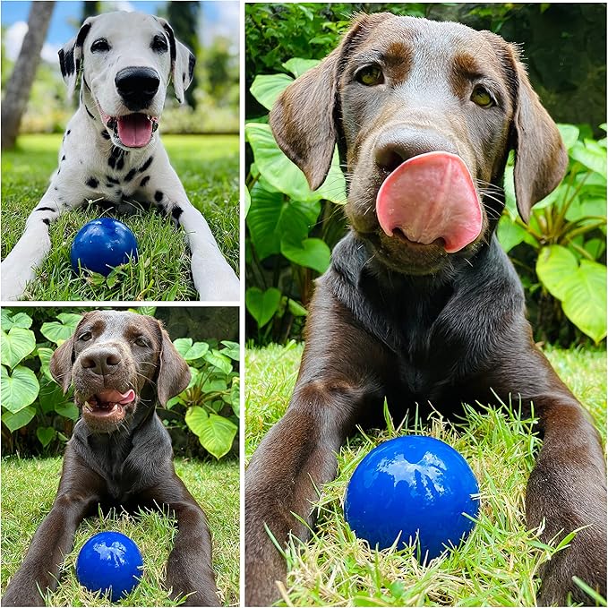 SuperChewy Tough Dog Ball Toy | Strong Natural Rubber | Great Dog Fetch Toy | Chew Toy for Dogs | Ultra Durable Chew Toy for Aggressive Chewers