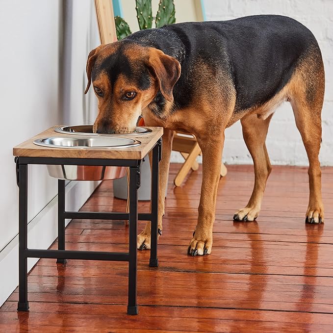 Mango Wood Dog Bowl Stand - Elevated Pet Feeder with 2 Stainless Steel Bowls - Raised Food and Water Dish Set for Dogs and Cats, Available in 4 Sizes, Pet Dining Station, Small/10oz