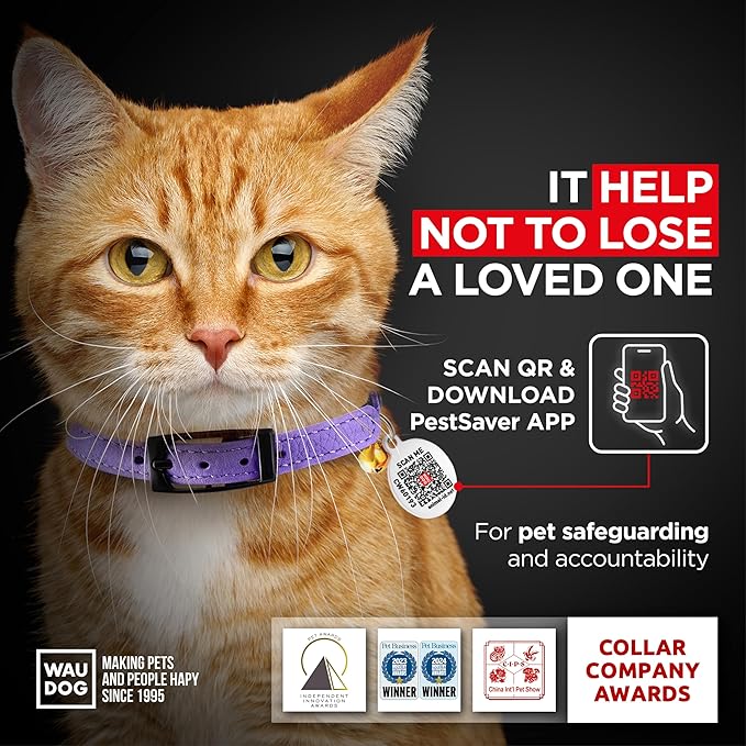 Leather Cat Collar with Bell and Safety Elastic Strap Breakaway Alternative for Small & Large Kittens, Stylish Pet Leather Collar for Boy, Girl Cats with Metal Buckle & QR ID Tag (Purple)