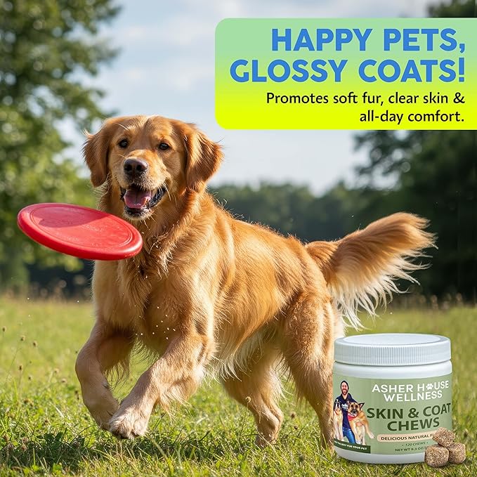 Asher House Wellness Skin & Coat Chews - Dog Itching Skin Relief with Omega 3, 6, 9, Fish Oil, Biotin - Dogs Itchy Paw Licking Chewable Treats, Puppy Dry Itch Supplement - 120 Soft Chews