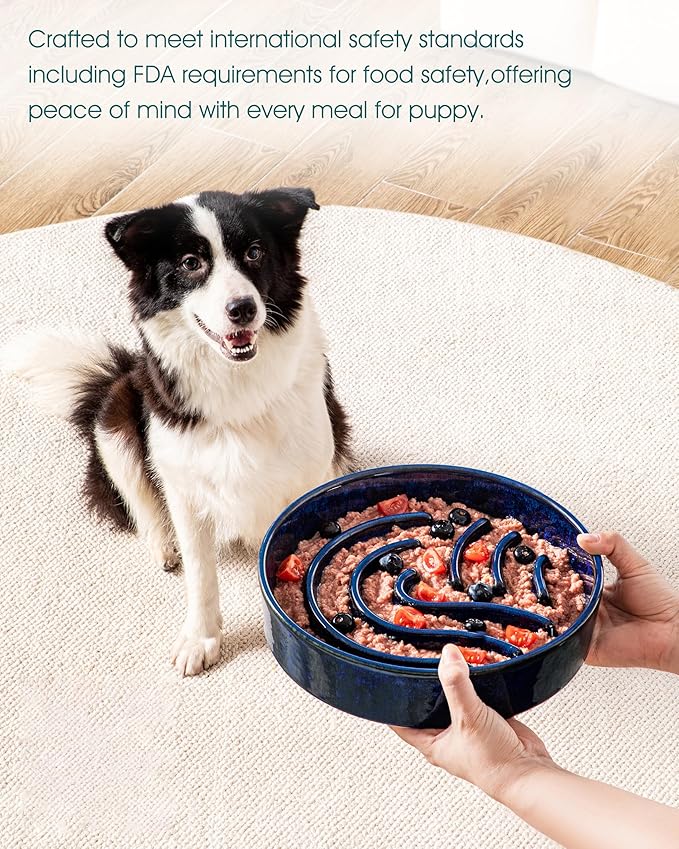 vancasso Slow Feeder Dog Bowl, 3 Cup Ceramic Slow Feeding Food Dish for Large Breed, Puzzle Dog Food Bowl for Fast Eater, Blue