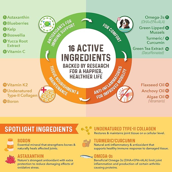 Bernie's Healthy HIPS - Daily Dog Hip & Joint Supplement - 90 Soft Chews - Reduce Pain, Encourage Mobility, Slow Damage, Repair and Rebuild HIPS & Joint Tissues