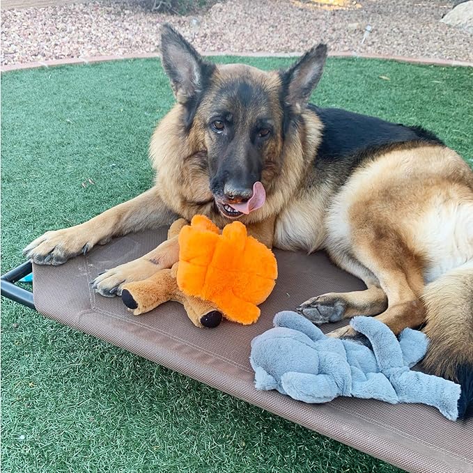 Jalousie 5 Pack 12'' Dog Toys Assortment - Plush Squeaky Toys for Medium to Large Breeds - Raccoon, Elk, Hippo, Fox, Sloth