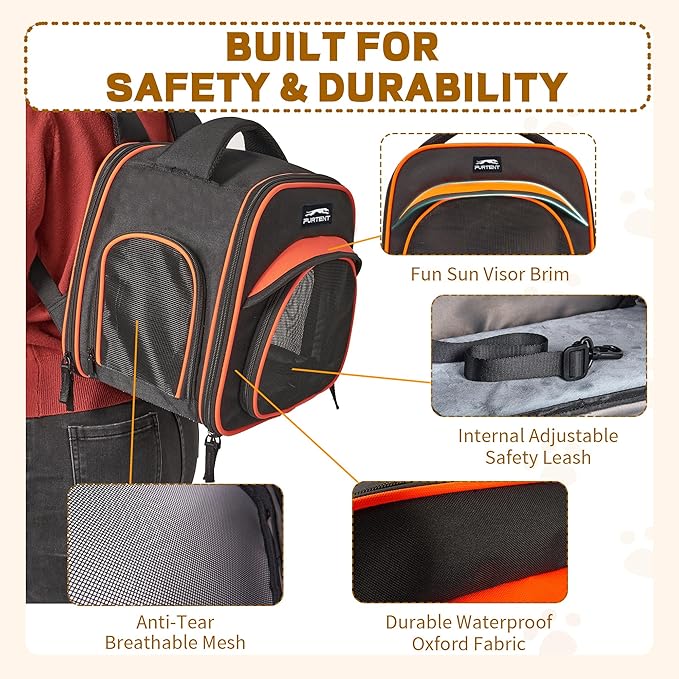 Cat Carrier Backpack, Breathable Collapsible Pet Bag with Safety Leash for Guinea, Kitten, Rabbit Weighing up to 8 Pounds Designed for Travel, Hiking, Walking and Outdoor Use, Black-Orange