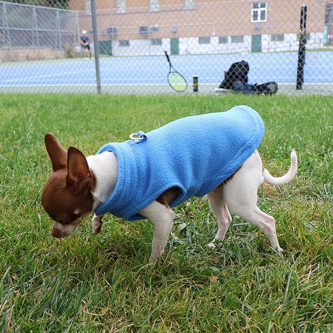 JACKO & CO - Fleece Vest Dog Sweater with Leash Ring - Soft, Warm & Lightweight Pullover Coat for Small & Medium Dogs, Puppies & Cats - Cozy Fall/Winter/Spring Pet Jacket (Blue, Small 4-6lbs)