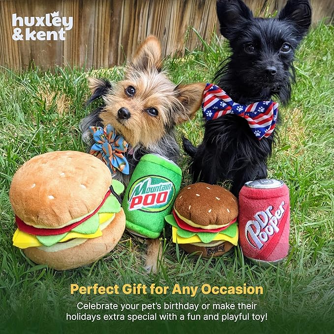 Huxley & Kent Funny Dog Toy w/Squeaker – Power Plush Squeaky Dog Toys for Small, Medium & Large Dogs – Soft Stuffed Animal for Indoor Play & Fetch - Dr Pooper, Large