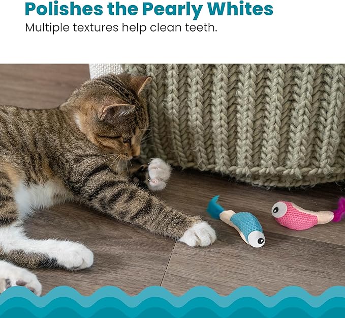 Catstages Petstages Dental Shrimpies Catnip Cat Chew Toy - 2 Pack