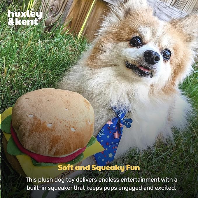 Huxley & Kent Funny Dog Toy w/Squeaker – Power Plush Squeaky Dog Toys for Small, Medium & Large Dogs – Soft Stuffed Animal for Indoor Play & Fetch - Hamburger, Small