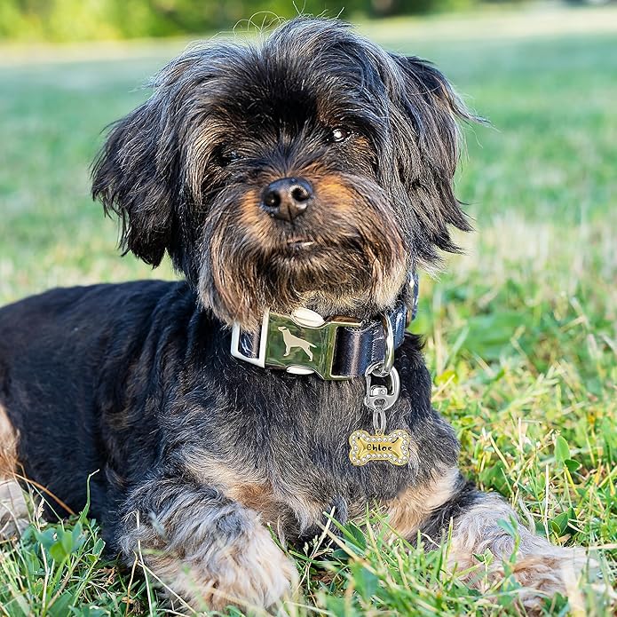 Fliplock Carabiner Dog Tag Clips - Quick Release Collar Clips for ID Tags, Pet Safety, and Keychains - Small, Secure Carabiner Clips for Dog Collars, Keys, and More