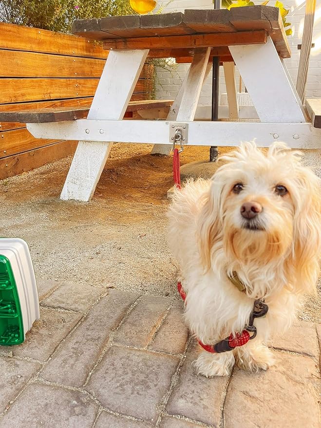 Canine Hitch- Secure Dog Leash Parking Indoor- Outdoor Wall Hook with EZ Clip - Tie Out Stainless Steel - Practical Lead Management for Home & Business