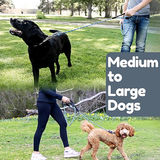 Premium 6 Ft Dog Leash - Two Extra Padded Handles, Heavy Duty Leashes for Medium Dogs to Large Breeds, Reflective, Shock-Absorbing, Anti-Pull Rope Leash, Strong Pet Lead for Everyday Walks - Roam Gear