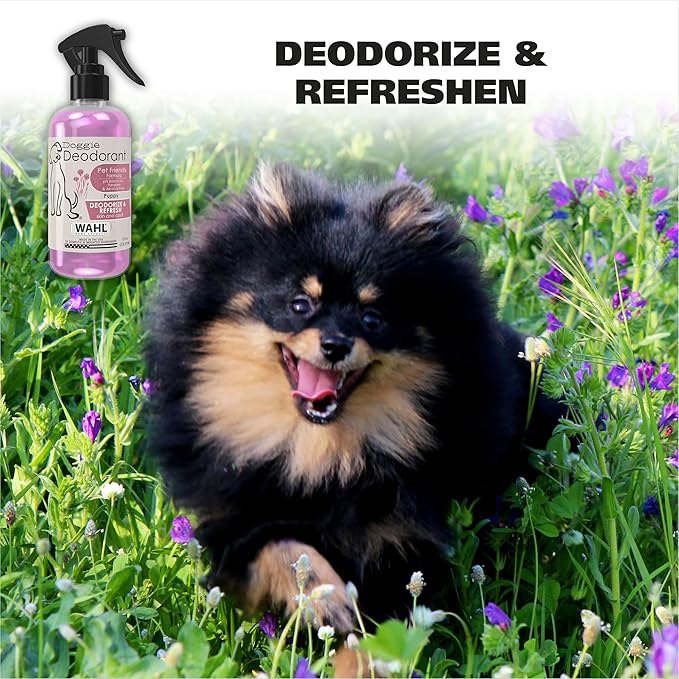 Wahl USA Cornflower Scented Pet Deodorant Spray for All Dogs & Cats – Clean Fresh Smell Refreshes & Deodorizes – 8 oz - Model 820009A