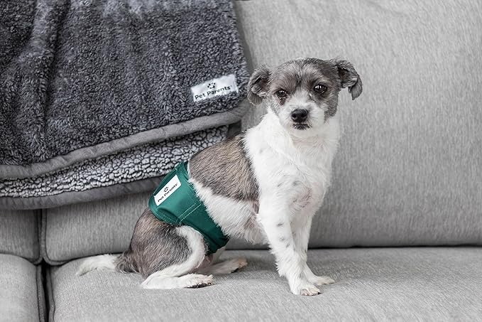 Pet Parents® Washable Belly Bands for Male Dogs (3pack) + Extendrs® of Durable Dog Diapers Male, Premium Male Dog Diapers & Dog Wraps (Medium, Spruce)