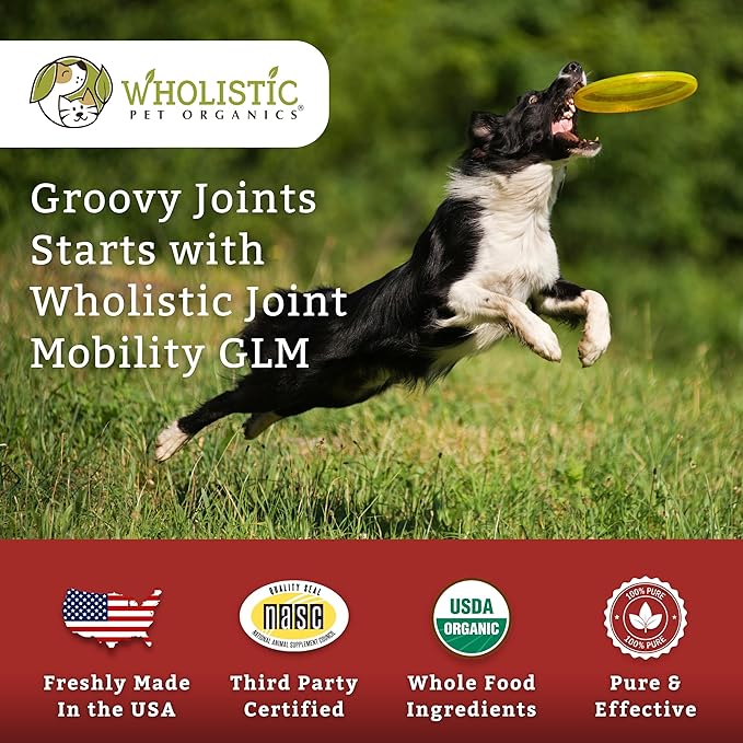 Wholistic Pet Organics Joint Mobility GLM - 2 Lb - Hip and Joint Supplement for Dogs - Glucosamine for Dogs - Chondroitin Supplement with Green Lipped Mussels - Senior to Puppy - Large & Small Breeds