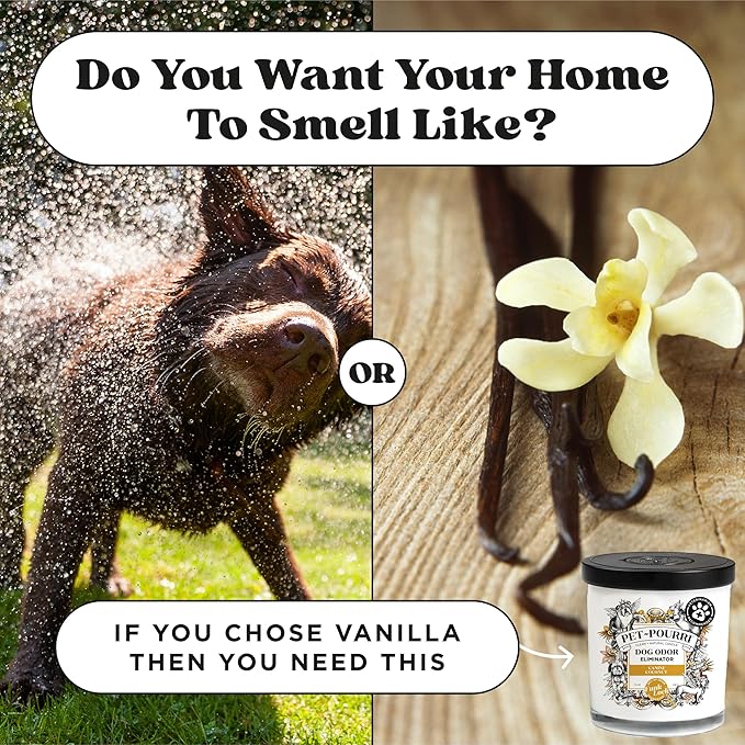 Pet-Pourri Canine Coconut Dog Deodorizer Candle – Puppy & Dog Safe – Plant Based Ingredients & Wax – Vet Approved – Aromatherapy & Air Freshener for Pet Odor – Scented with Bamboo, Jasmine & Pear