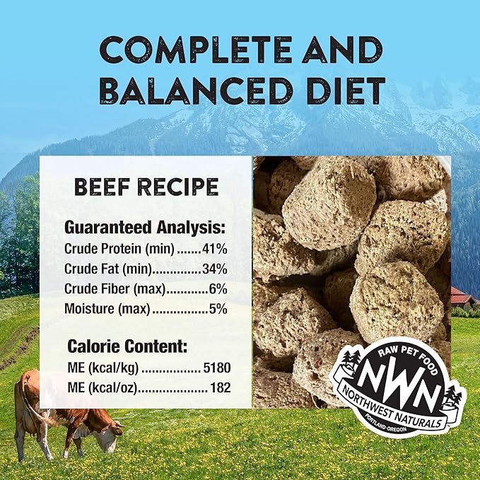 Northwest Naturals Freeze-Dried Beef Dog Food - Bite-Sized Nuggets - Grain-Free, High-Protein, Raw Diet, Human-Grade Ingredients, All Natural, Premium Quality, Healthy & Nutritious, Made in USA, 25 Oz