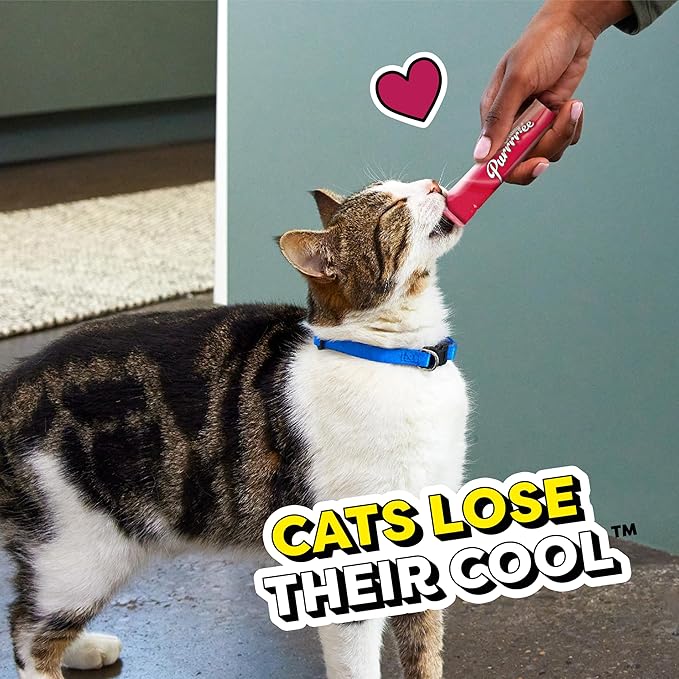 Temptations Creamy Puree Mix-Ups Squeezable Lickable Wet Cat Treats, Seafood Medley Flavor, 0.42 oz. Tubes, 4 Count, Pack of 11 (44 Total)