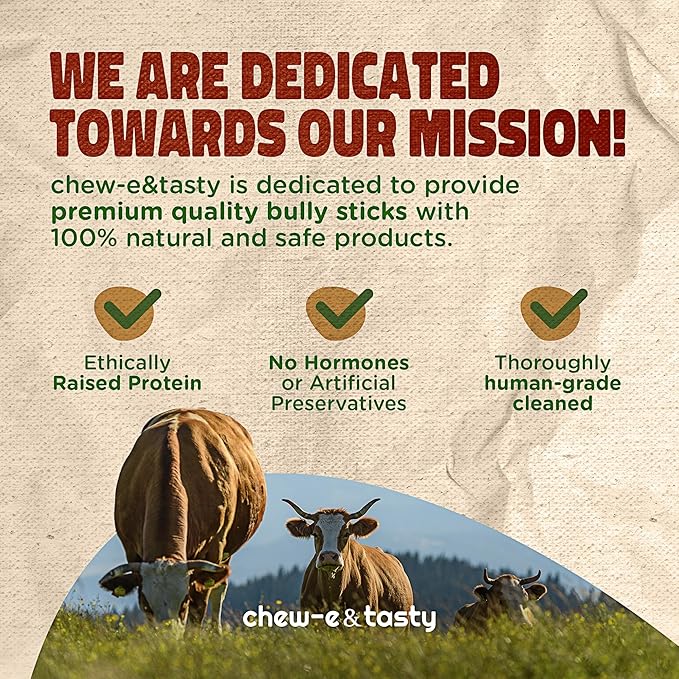 chew-e&tasty 12" Thick Bully Sticks for Dogs (Pack of 10) - Thick Chews for Dogs, Fully Digestible Beef Treats, Supports Dental Health, Long Lasting Beef Chews