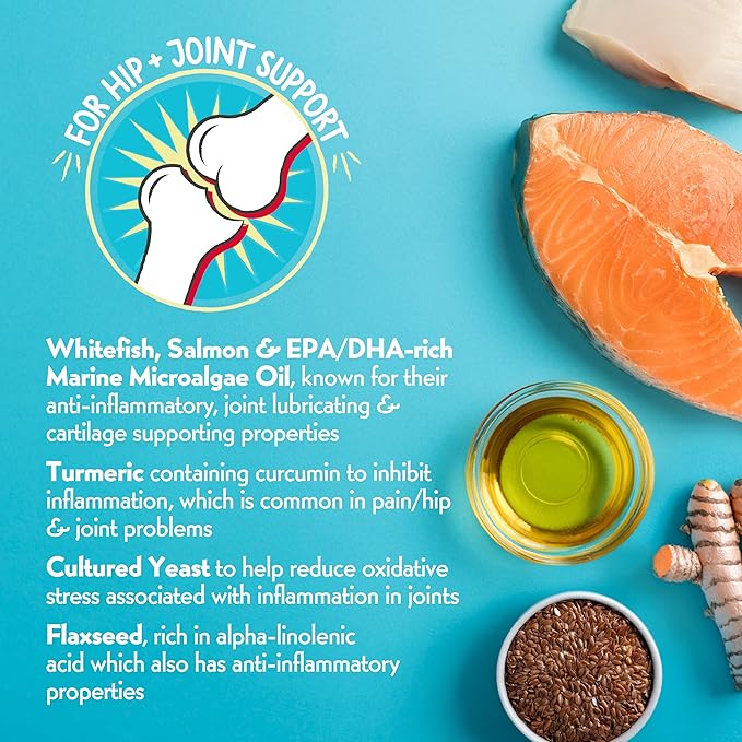 Charlee Bear Necessities Freeze Dried Dog Food Topper, Hip and Joint Support, Grain Free, High Protein, Limited Ingredient Meal Toppers for Dogs, Salmon and Whitefish Recipe, 1 Ounce