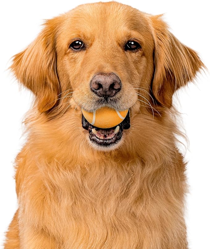 Playology Dog Toys | Squeaky Chew Ball - Bouncy Durable Floating Fetch Ball for Dogs | Medium Cheddar Cheese Scented Toy - Easy to Clean and Made from Non Toxic Materials