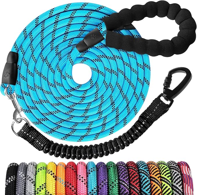 Long Dog Leash 10 FT: Heavy Duty Rope Leashes for Dogs Training with Swivel Lockable Hook Reflective Threads Bungee and Padded Handle - Dog Lead for Large Small Medium Dogs Outside Walking Hiking Blue
