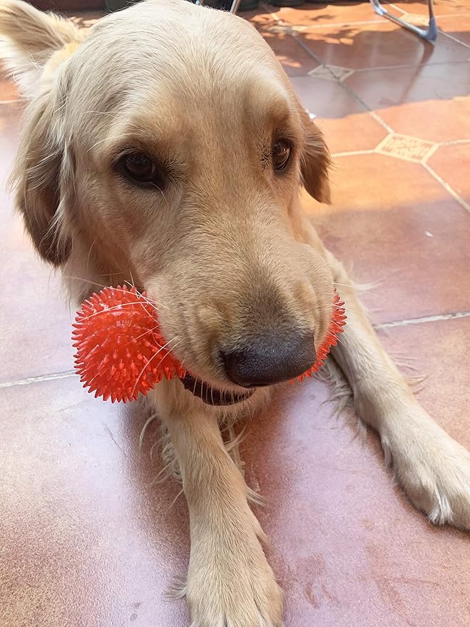 Jalousie Dog Squeaky Toys Value Set Non-Toxic Squeaky Balls Toss Fetch TPR Rubber Puppy Toys Spikey Dog Chew Toy for Small Medium Breed Pet Toys for Puppy (6 Pack Assorted)