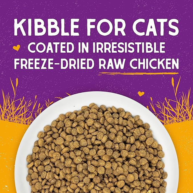 Stella & Chewy's Raw Coated Cat Food - High Protein, Grain-Free Kibble with Cage-Free Chicken - Premium Digestive Support with Probiotics - Natural Small Kibble - Perfect For Picky Eaters - 10 lb Bag