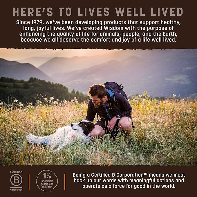 Earth Animal Wisdom Air Dried Dog Food - Chicken Recipe Premium Natural Dry Dog Food for All Breeds & Ages - 8 Lbs Bag