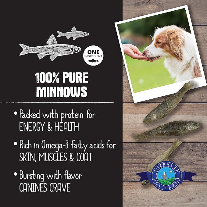 Shepherd Boy Farms Freeze Dried Dog and Cat Treats, Minnows, All Natural Single Ingredient Freeze-Dried Dog Treat & Snacks, Made in USA, High in Protein, Essential Nutrition of Raw Food, 2oz