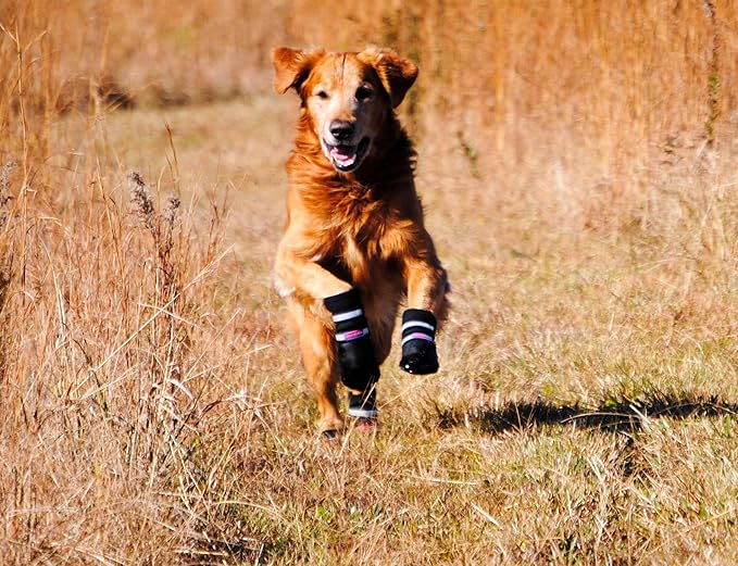 All Weather Neoprene Paw Protector Dog Boots with Reflective Straps in 5 Sizes! (Black Small)