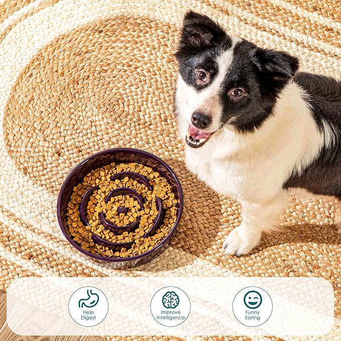 vancasso Slow Feeder Dog Bowl, 3 Cups Ceramic Slow Feeder for Large Breed, Puzzle Maze Dog Food Bowl for Fast Eater, Dark Purple