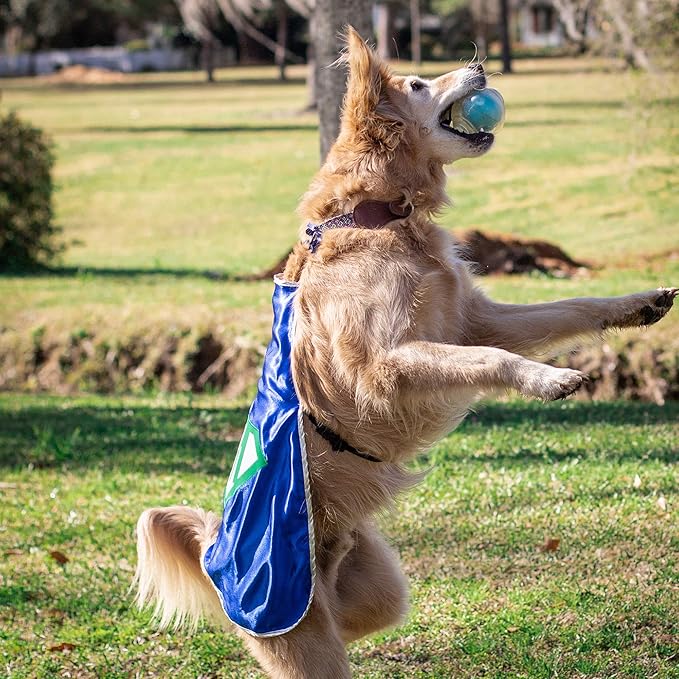 Everfan Personalized Dog Superhero Cape (Medium 15" Long (10-25 lbs), Gold)