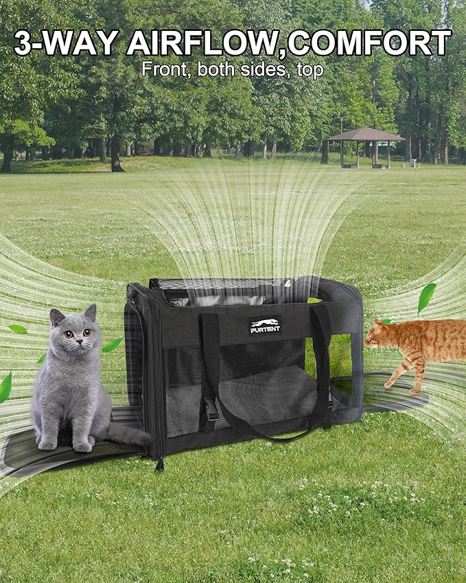 Soft-Sided Large Cat Carrier for 2 Cats, Spacious Foldable Pet Travel Carrier for Large Cats up to 25 Lbs, Double Cat Bag with Shoulder Strap, 20x13x13 Inch, Fits Maine Coon and Small Dogs, Black