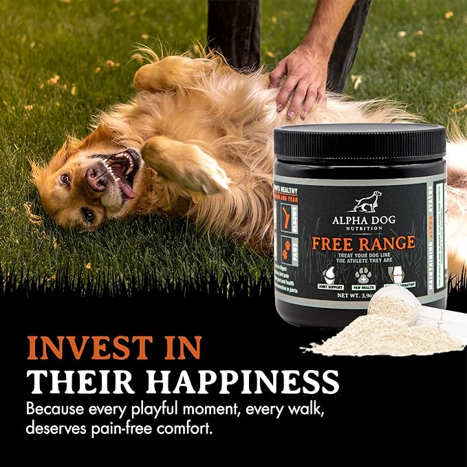 Free Range Joint Health Enhancer Supplement Powder for Dogs by Alpha Dog Nutrition - Premium Dog Arthritis Vitamins to Care for Joints - Contains Glucosamine, Chondroitin, MSM, Vitamin E, & More