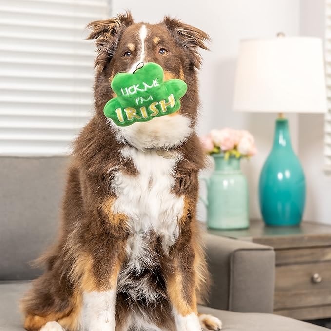 Huxley & Kent Funny Dog Toy w/Squeaker – Power Plush Squeaky Dog Toys for Small, Medium & Large Dogs – Soft Stuffed Animal for Indoor Play & Fetch - Lick Me Shamrock, One Size
