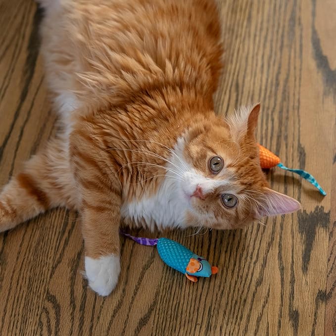 Catstages Catnip Chew Mice 2 Pack– Interactive Dental Cat Chew Toy that Helps Clean Teeth, Mouse, Multicolored