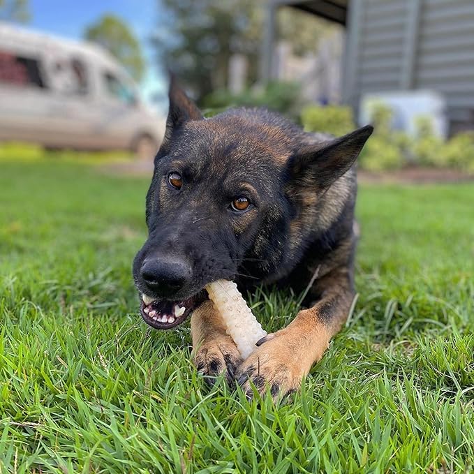 Nylabone Textured Knuckle Bone Power Chew Toy for Dogs, Durable & Tough Dog Toys for Aggressive Chewers, Original Flavor, X-Large - Over 50 Ibs, 1 Count