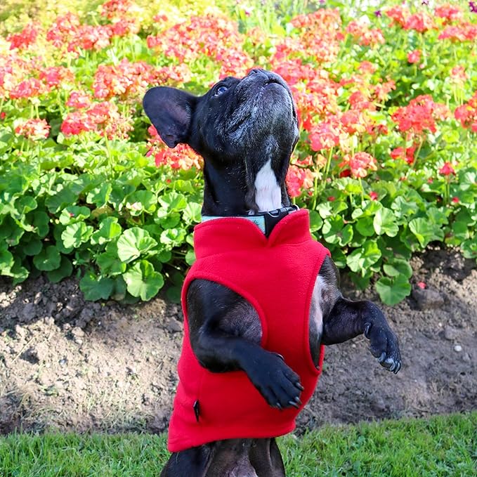 JACKO & CO - Fleece Vest Dog Sweater with Leash Ring - Soft, Warm & Lightweight Pullover Coat for Small & Medium Dogs, Puppies & Cats - Cozy Fall/Winter/Spring Pet Jacket (Red, XX-Large 25-35lbs)