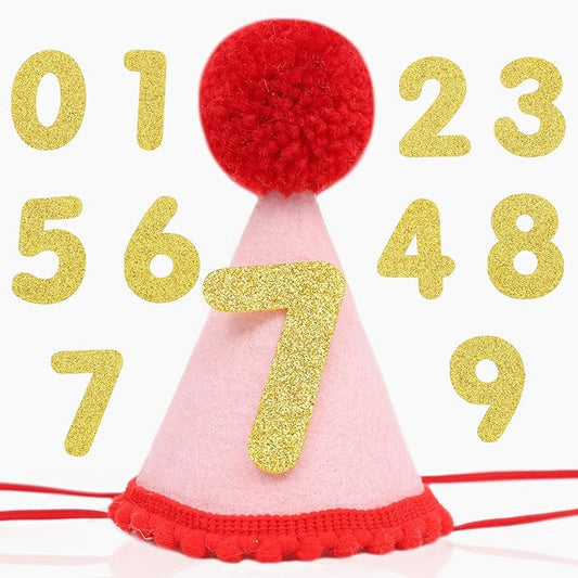 Pet Birthday Hat with Interchangeable Numbers 1-10 | Adjustable Pet Party Cone Hat for Dogs & Cats | Puppy Birthday Photo Props for 1st to 10th Birthday Celebrations (Red Pink Birtgday Pet Hat)